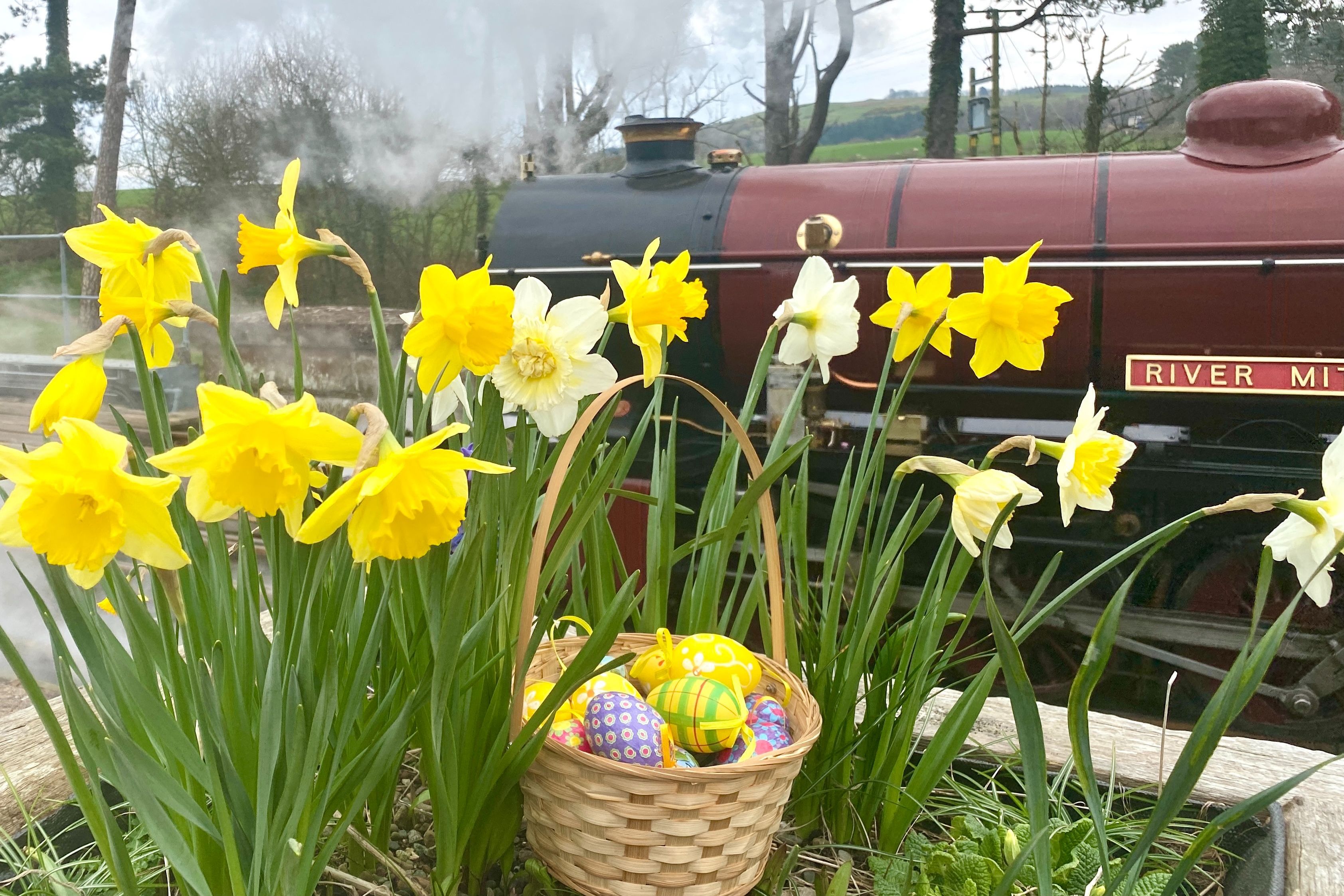 Easter Line Hunt