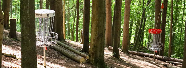 Disc Golf in Trees