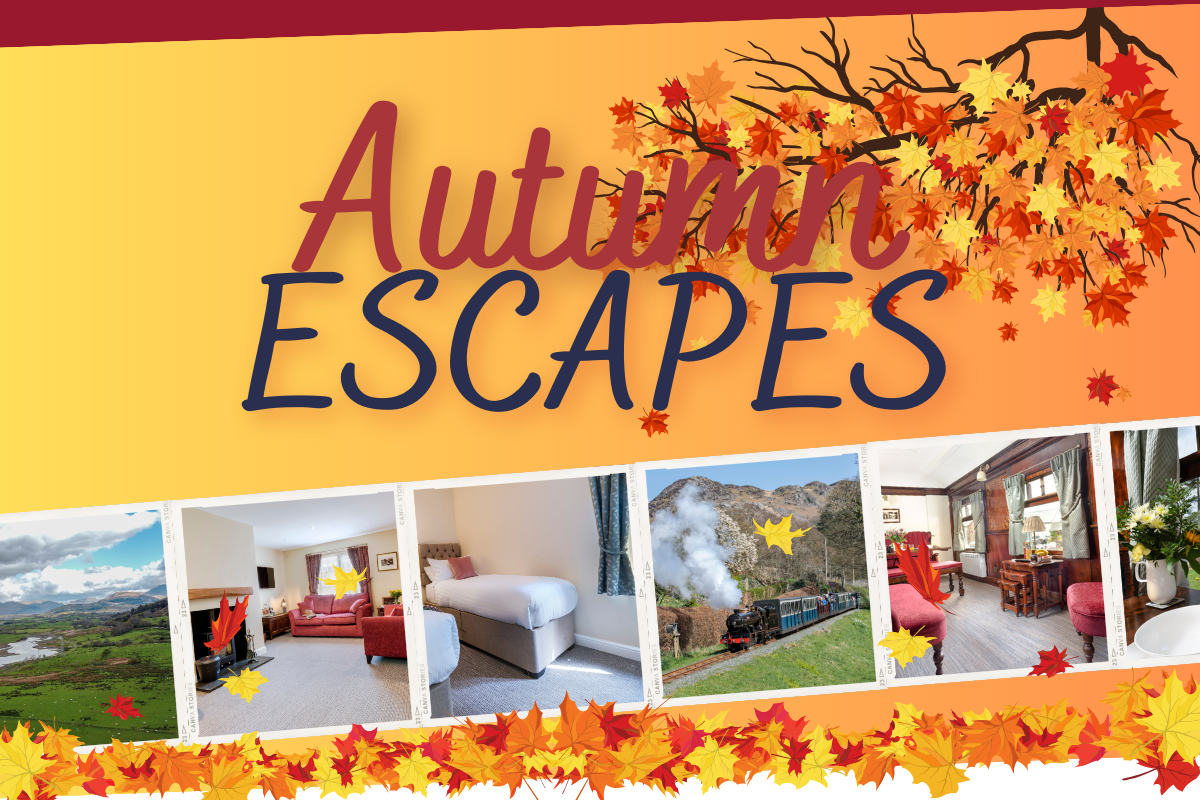 Autumn Escapes