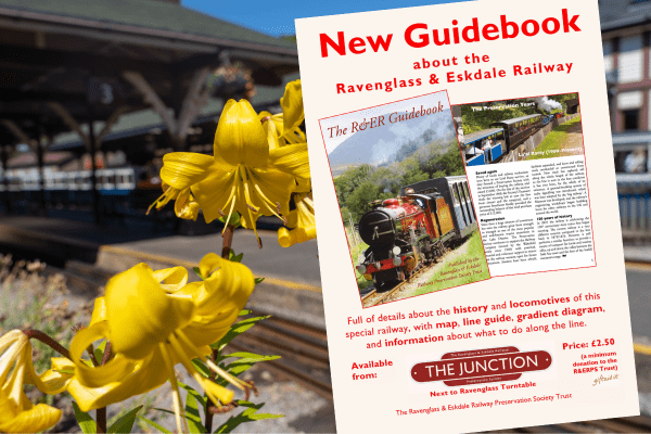 The R&ER Guidebook