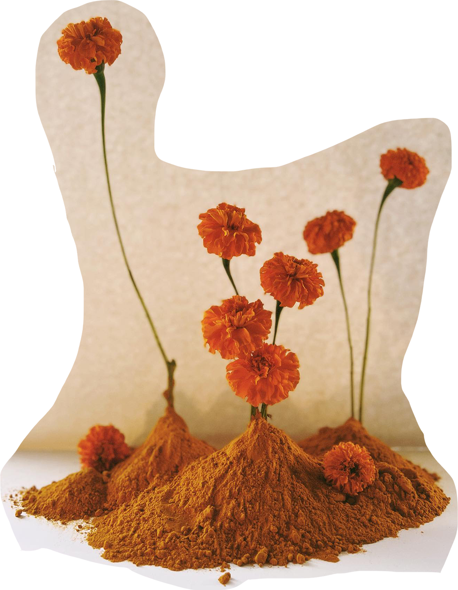 Artful arrangement of marigolds in a floral tablescape with small mounds of dirt instead of vases, promoting a floral arrangement class at Ace Hotel Toronto.