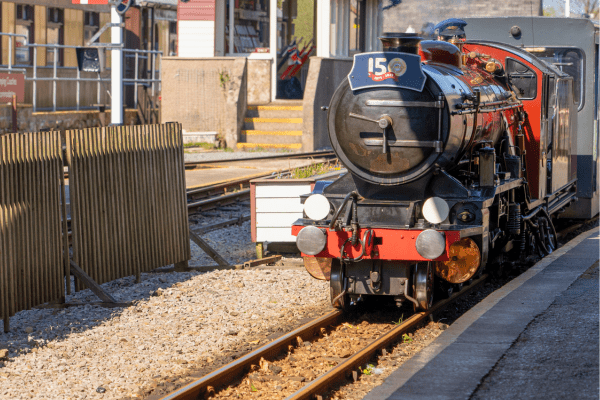 View the gala timetable and start planning you itinerary
