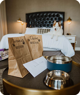 HOTEL TEATRO 