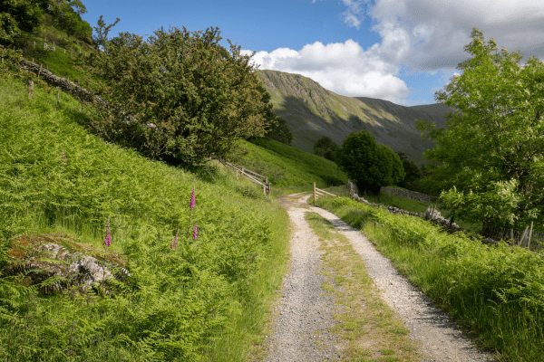 Cruise and walk around Ullswater with Ullswater 'Steamers'