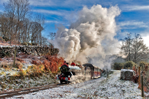 Winter Warmer Trains