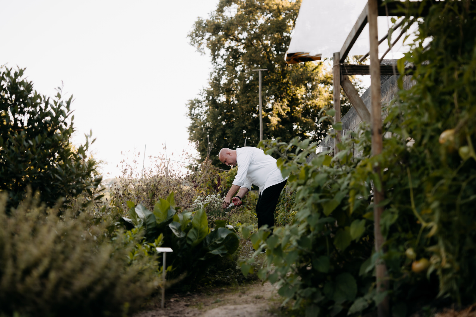 Chef Robert Levels