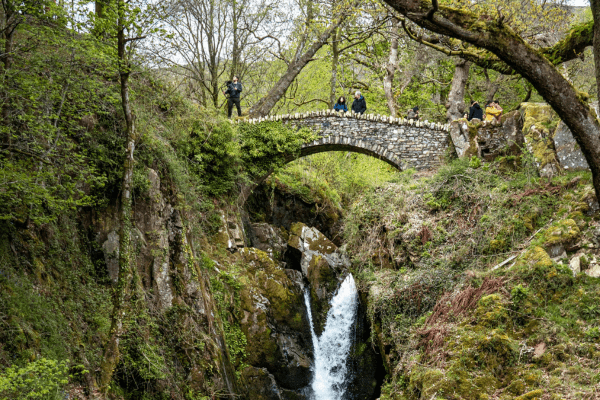 Aira Force Waterfall 