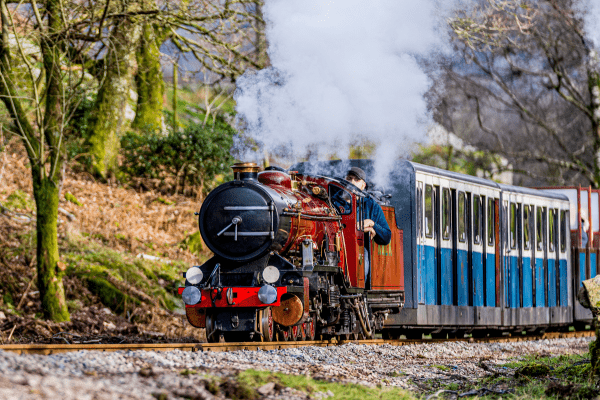 View the gala timetable and start planning you itinerary