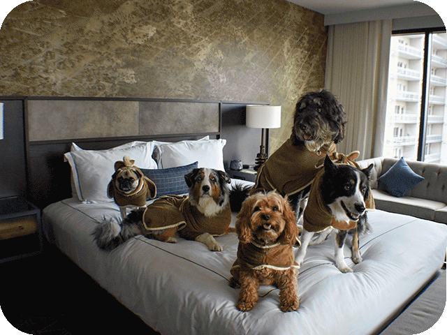 Sage Hospitality Group