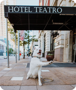 HOTEL TEATRO 