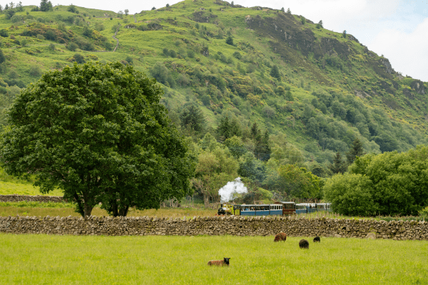 Adding extra trains to the timetable