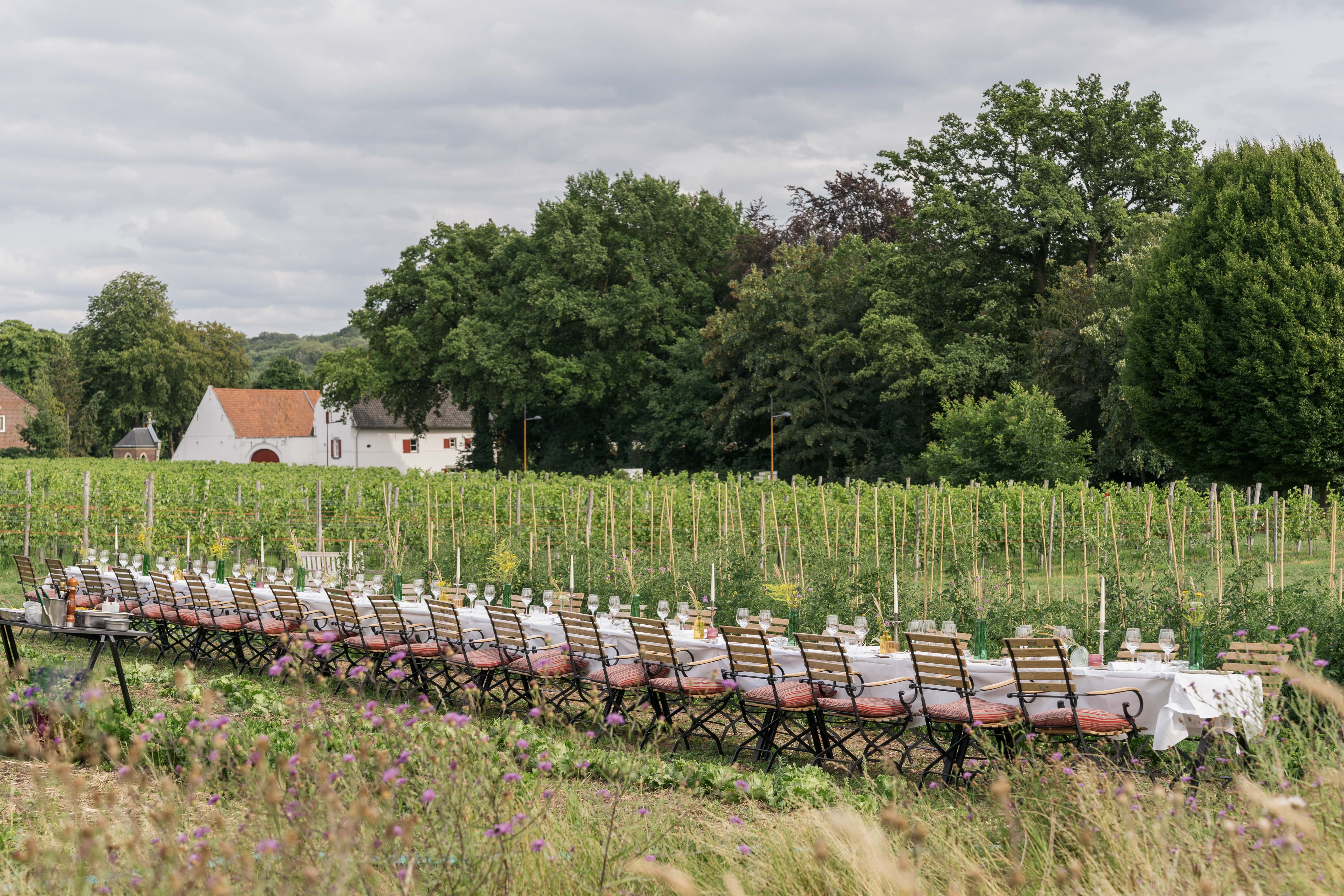 WIJland groentetuin