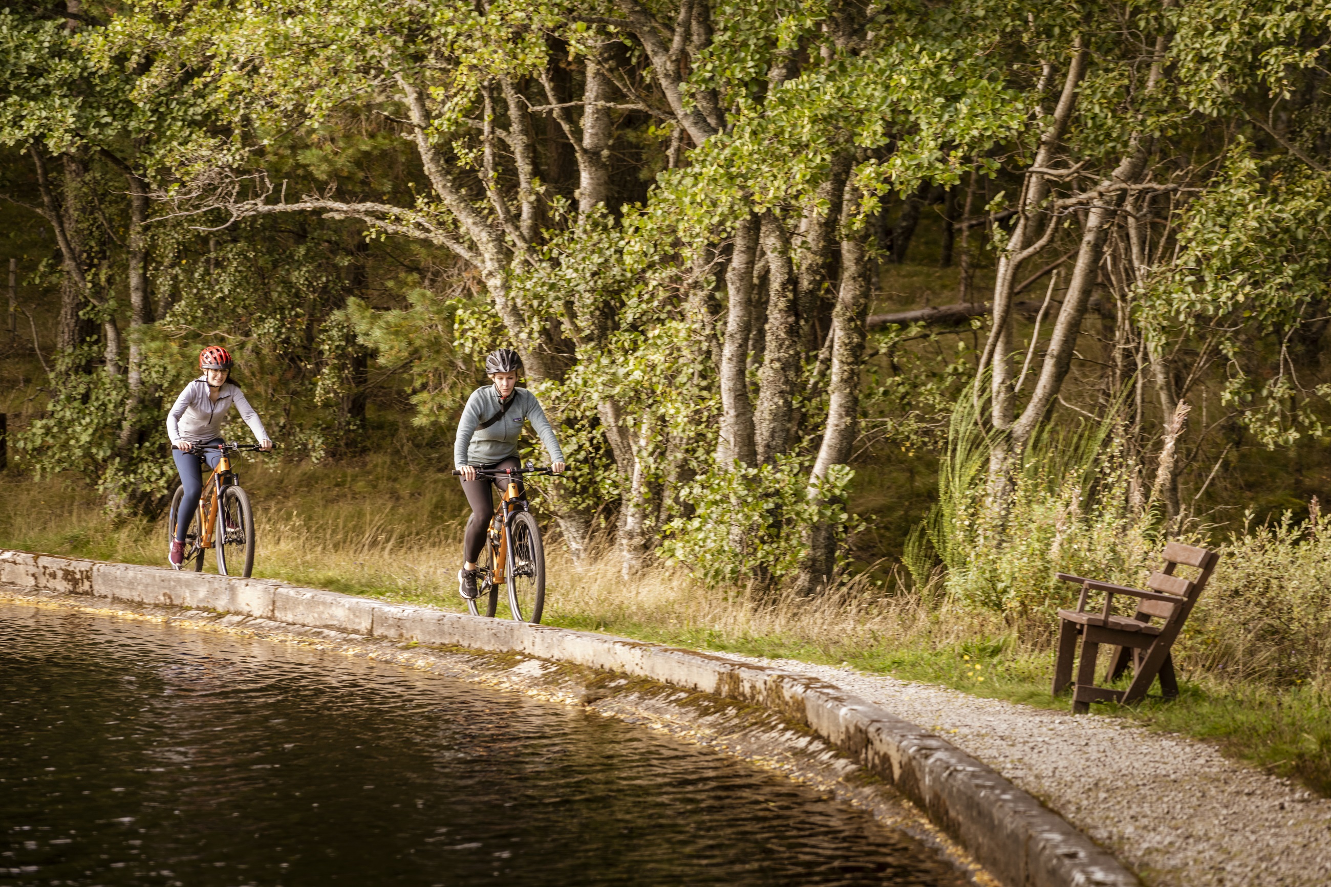 Cycling in the forest around Aviemore Resort